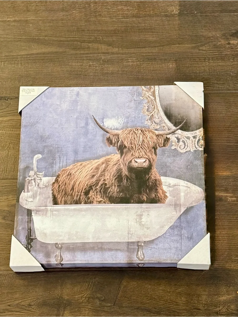 Highland Cow Bathroom Canvas Wall Art - Brown on Blue